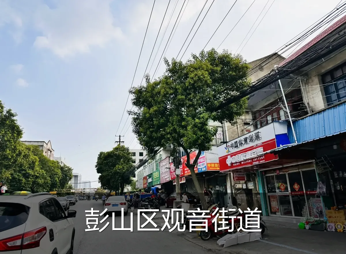 彭山区观音街道